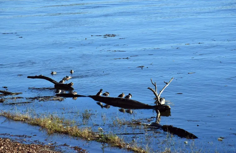 Dvije plavuše privukle sve poglede u opuštenoj šetnji uz Savu: Pogledajte atmosferu