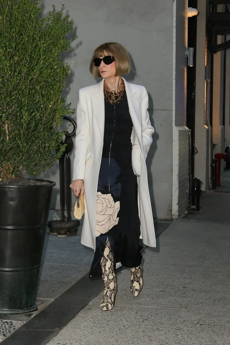 Svi ju znaju kao strogu urednicu Voguea, a pogledajte kako je izgledala u mladim danima