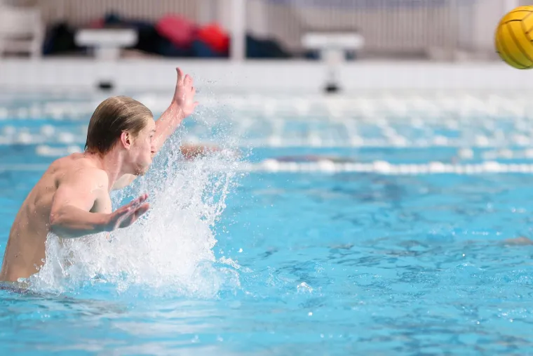Okupile se Barakude i skočile u bazen, Tucak najavio: 'Ra&scaron;čistit ćemo neke stvari'