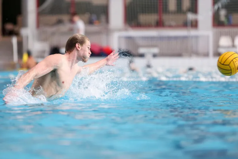 Okupile se Barakude i skočile u bazen, Tucak najavio: 'Ra&scaron;čistit ćemo neke stvari'