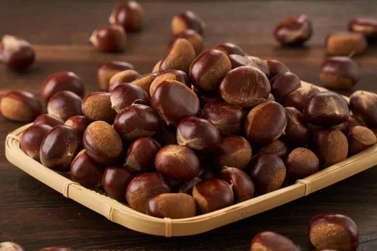 Biste li se sporazumjeli s Crnogorcima? Provjerite svoje poznavanje tog jezika na kvizu