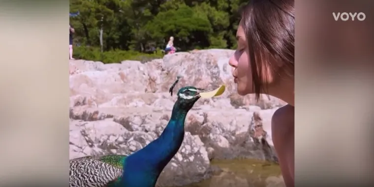 Laura Gnjatović prije favoritkinje za krunu: Radi u polju, igra odbojku, spašava živote