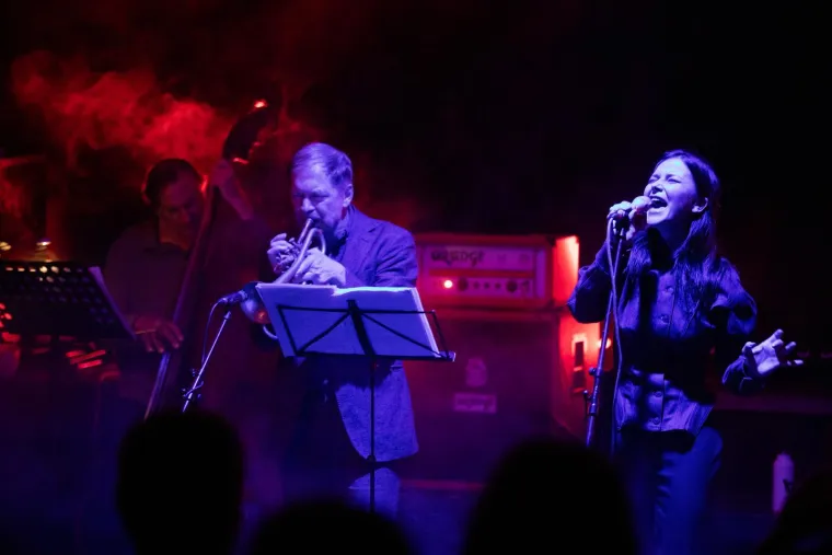 Vesna Pisarović zapalila Močvaru: Još jednom dokazala da je miljenica publike