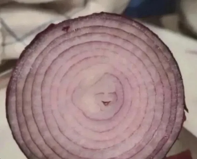 &Scaron;to vidite na ovim fotkama? Pomutit će vam pamet, evo o čemu je riječ