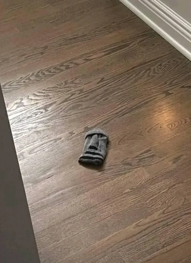 &Scaron;to vidite na ovim fotkama? Pomutit će vam pamet, evo o čemu je riječ