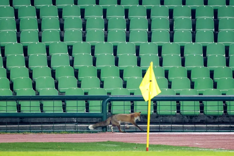 Nepozvani gosti na treningu Bosne i Hercegovine: Pazite tko je gledao Džeku i ekipu