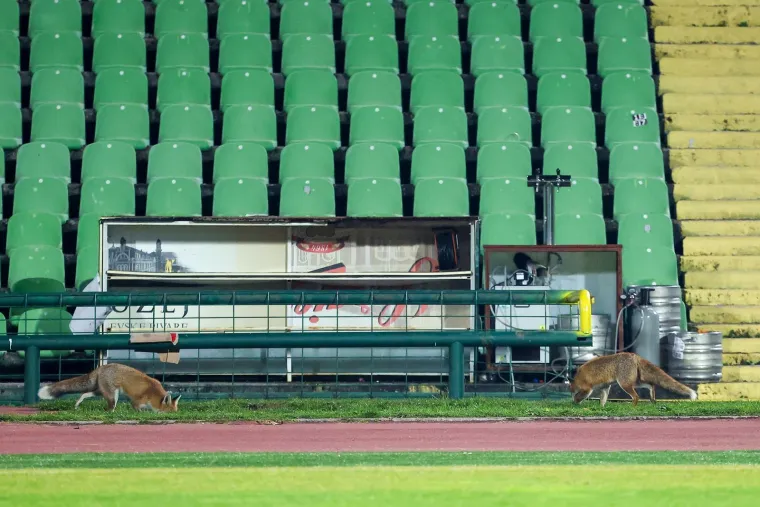Nepozvani gosti na treningu Bosne i Hercegovine: Pazite tko je gledao Džeku i ekipu