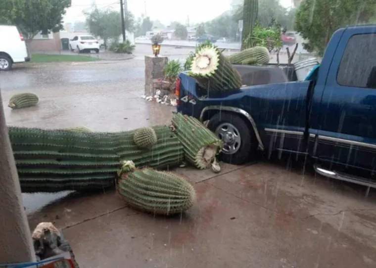 Ovim nesretnicima dan je skliznuo nizbrdo u sekundi: Takve katastrofe rijetko se viđaju