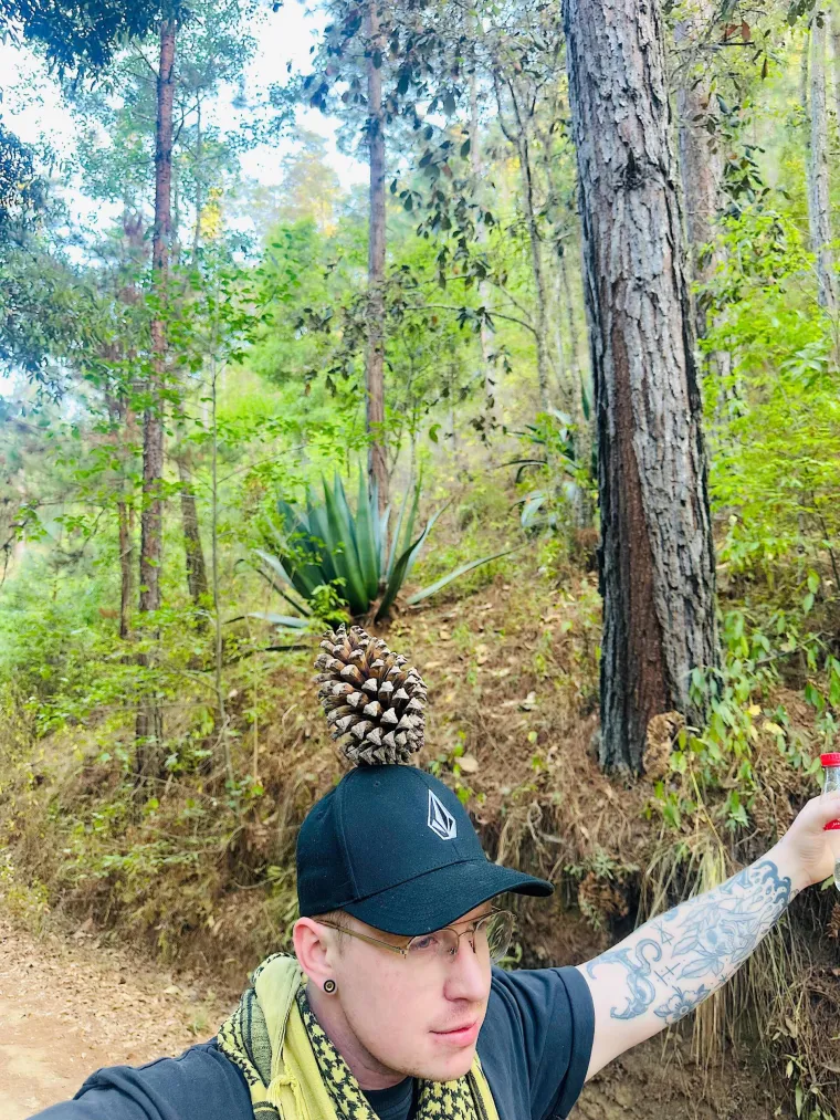 Ove fotografije će vam pomutiti pamet: Možete li shvatiti što se na njima nalazi?