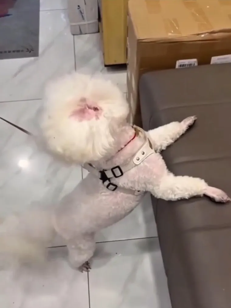 Ove fotografije će vam pomutiti pamet: Možete li shvatiti što se na njima nalazi?