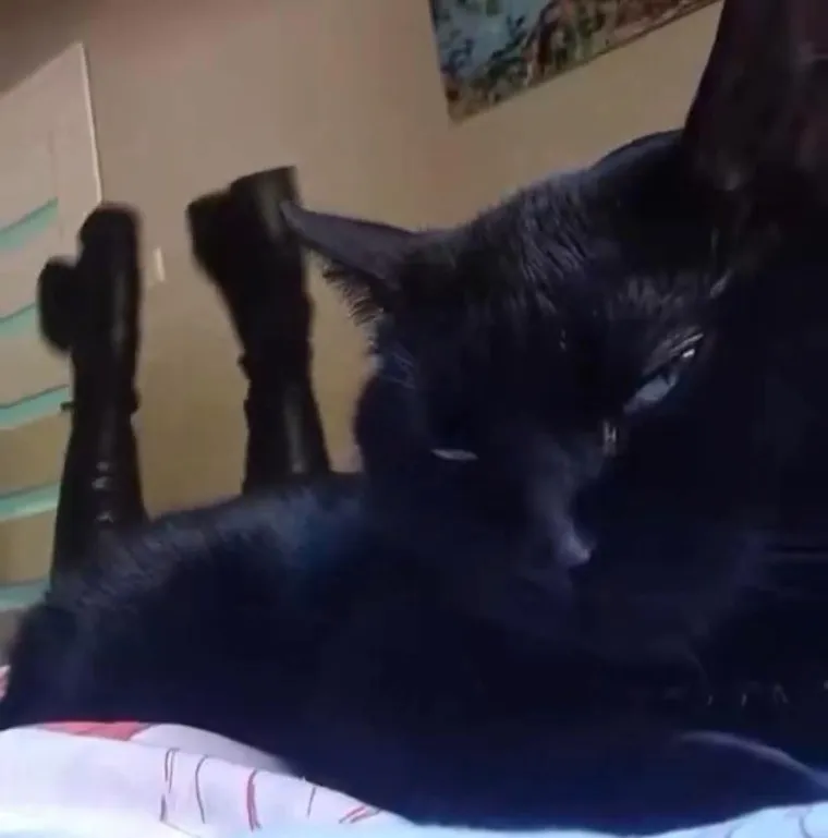 Ove fotografije će vam pomutiti pamet: Možete li shvatiti što se na njima nalazi?