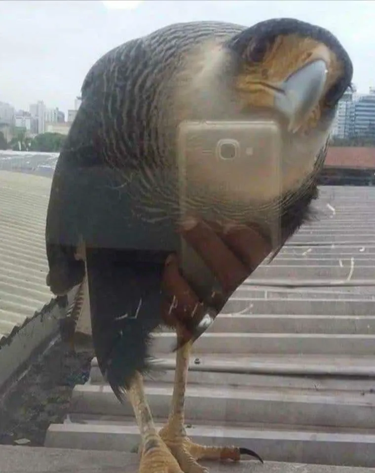 Ove fotografije će vam pomutiti pamet: Možete li shvatiti što se na njima nalazi?