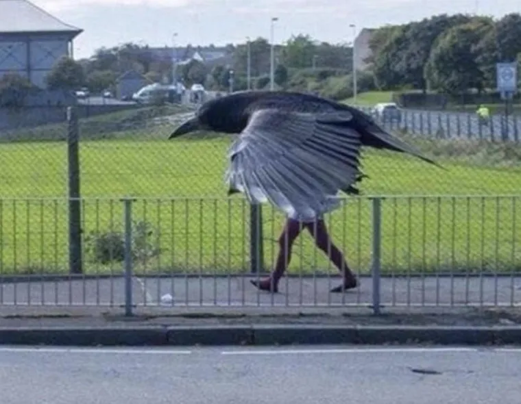 Ove fotografije će vam pomutiti pamet: Možete li shvatiti što se na njima nalazi?