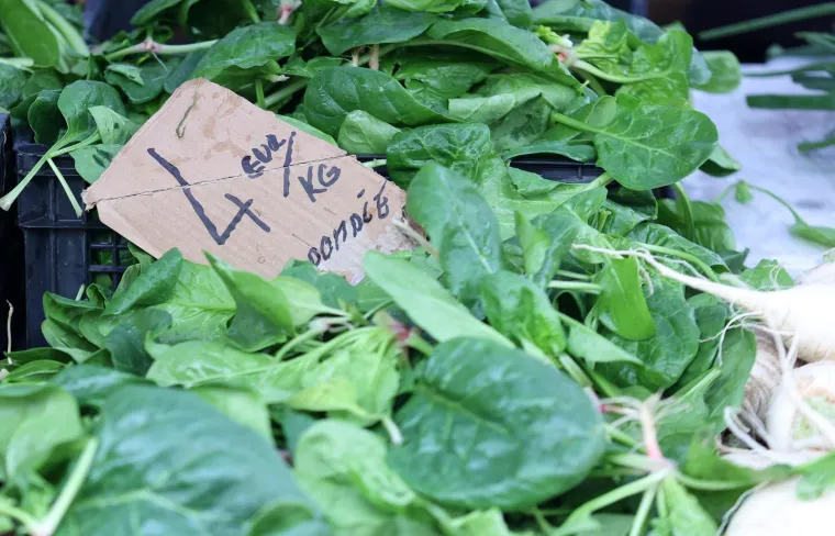 Je li ovo preskupo? Orasi 15 eura, jabuke tri, pogledajte cijene na hrvatskoj tržnici