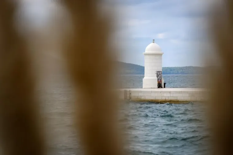Zaljubljeni golupčići privlačili poglede prolaznika: Teško ih je bilo ne primijetiti