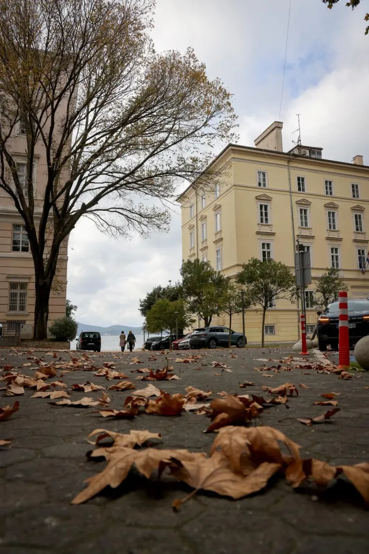 Zaljubljeni golupčići privlačili poglede prolaznika: Teško ih je bilo ne primijetiti