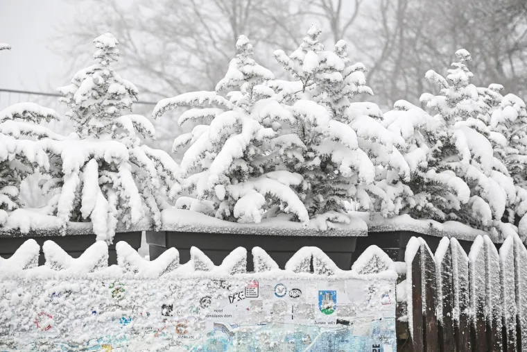 Snijeg prekrio Sljeme i stvorio pravi zimski ugođaj, građani napokon dočekali da upogone sanjke