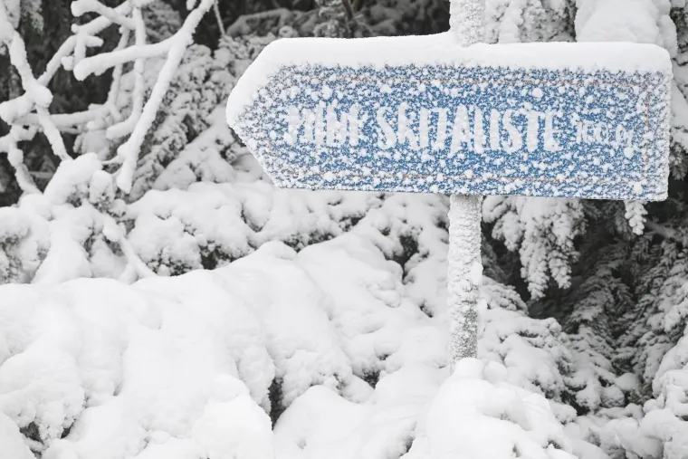 Snijeg prekrio Sljeme i stvorio pravi zimski ugođaj, građani napokon dočekali da upogone sanjke