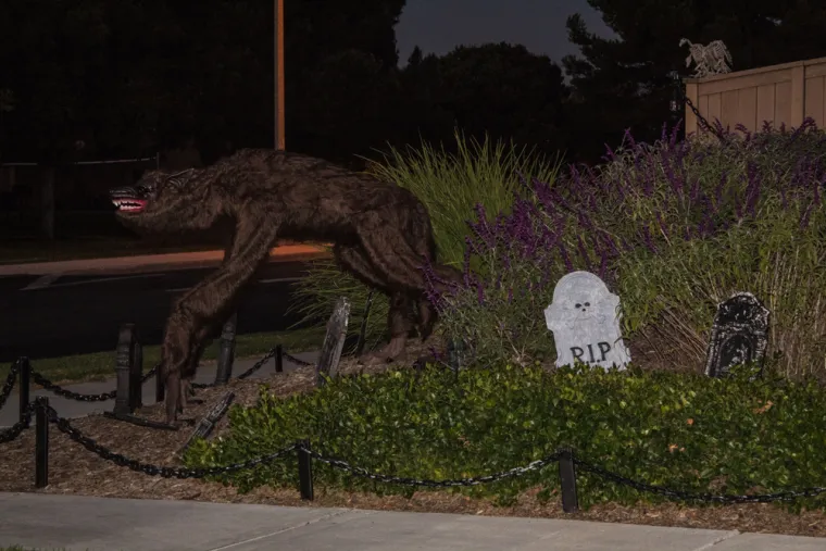 I danas golicaju ljudsku ma&scaron;tu: Ovo je 29 najpoznatijih svjetskih legendi