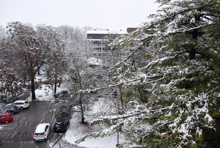 Sisak se probudio u snijegu! Ulice, krovovi i gradski parkovi pod bijelim prekrivačem
