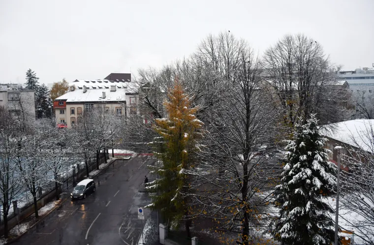 Sisak se probudio u snijegu! Ulice, krovovi i gradski parkovi pod bijelim prekrivačem