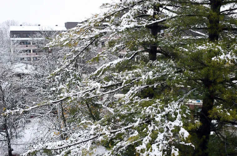 Sisak se probudio u snijegu! Ulice, krovovi i gradski parkovi pod bijelim prekrivačem