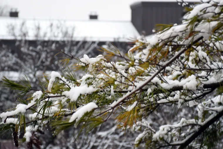 Sisak se probudio u snijegu! Ulice, krovovi i gradski parkovi pod bijelim prekrivačem