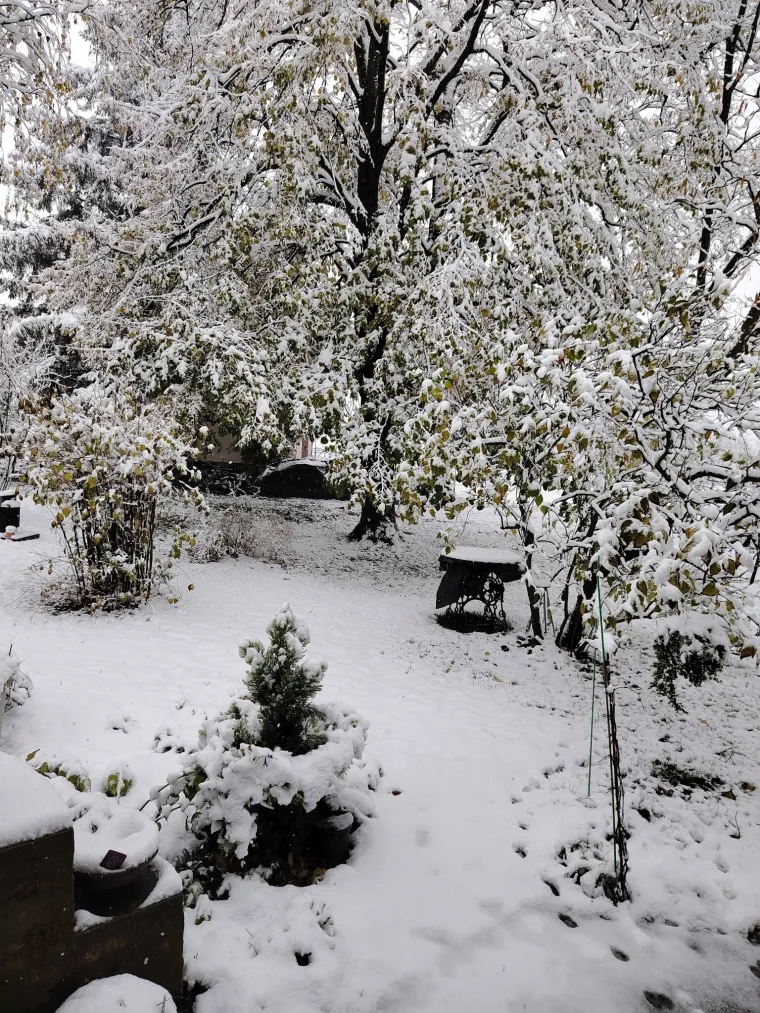 Ovakva je snježna idila kod vas: Pogledajte što ste nam poslali i odakle ste se sve javili