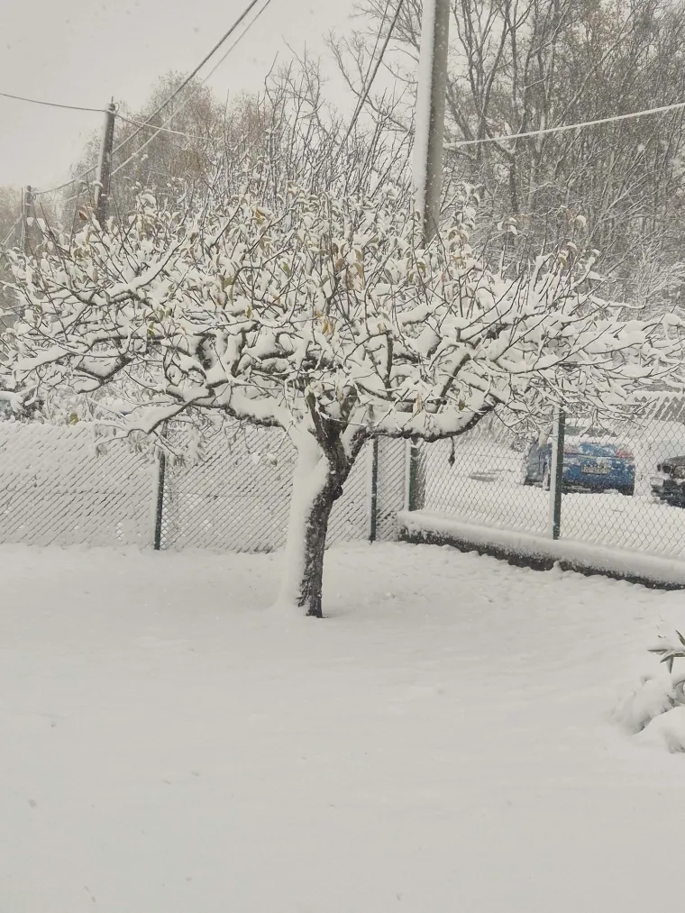 Ovakva je snježna idila kod vas: Pogledajte što ste nam poslali i odakle ste se sve javili