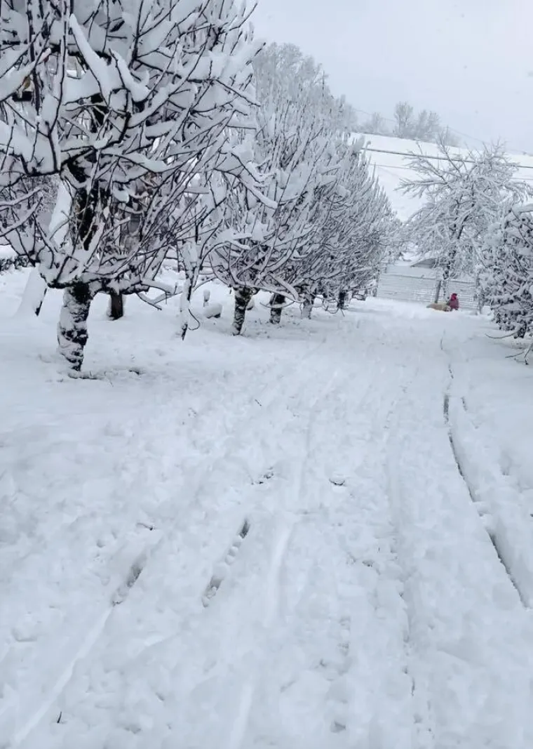 Ovakva je snježna idila kod vas: Pogledajte &scaron;to ste nam poslali i odakle ste se sve javili