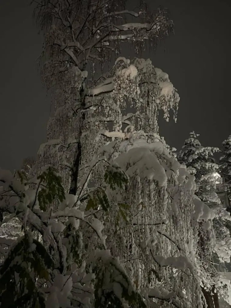 Ovakva je snježna idila kod vas: Pogledajte &scaron;to ste nam poslali i odakle ste se sve javili