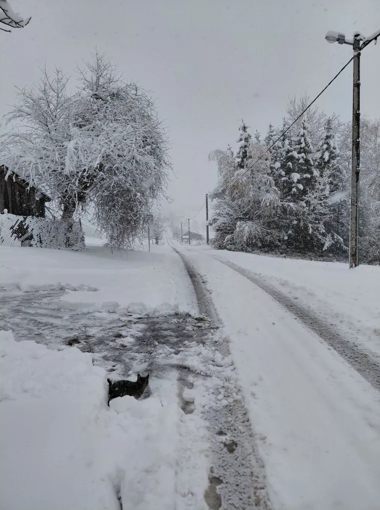 Ovakva je snježna idila kod vas: Pogledajte &scaron;to ste nam poslali i odakle ste se sve javili