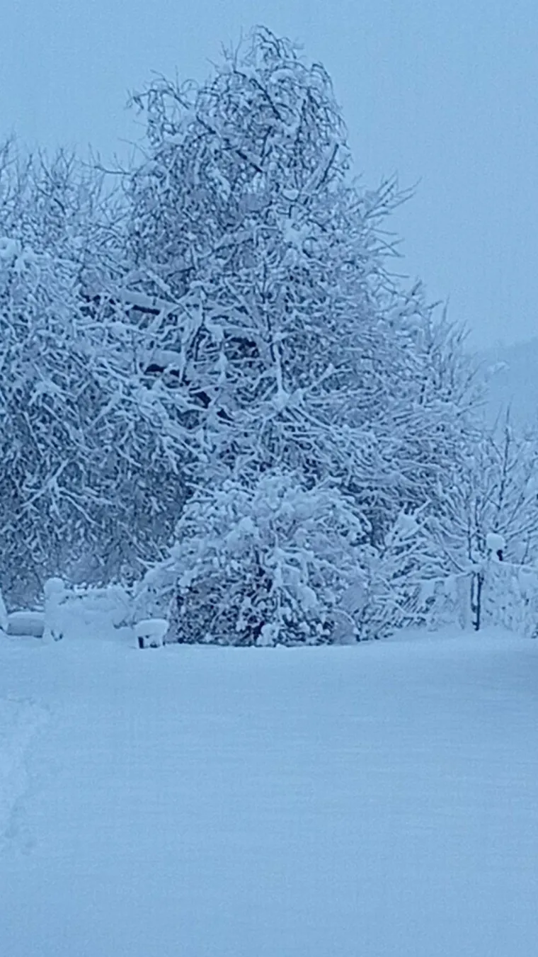 Ovakva je snježna idila kod vas: Pogledajte &scaron;to ste nam poslali i odakle ste se sve javili