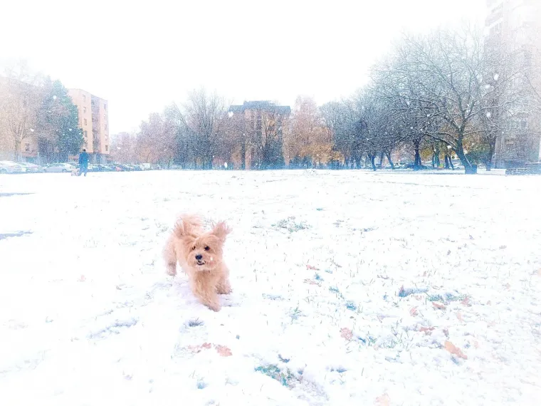 Ovakva je snježna idila kod vas: Pogledajte &scaron;to ste nam poslali i odakle ste se sve javili