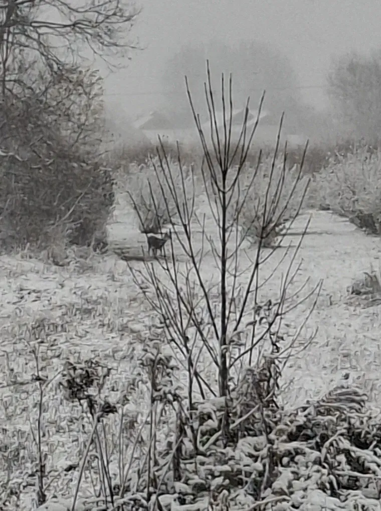 Ovakva je snježna idila kod vas: Pogledajte &scaron;to ste nam poslali i odakle ste se sve javili