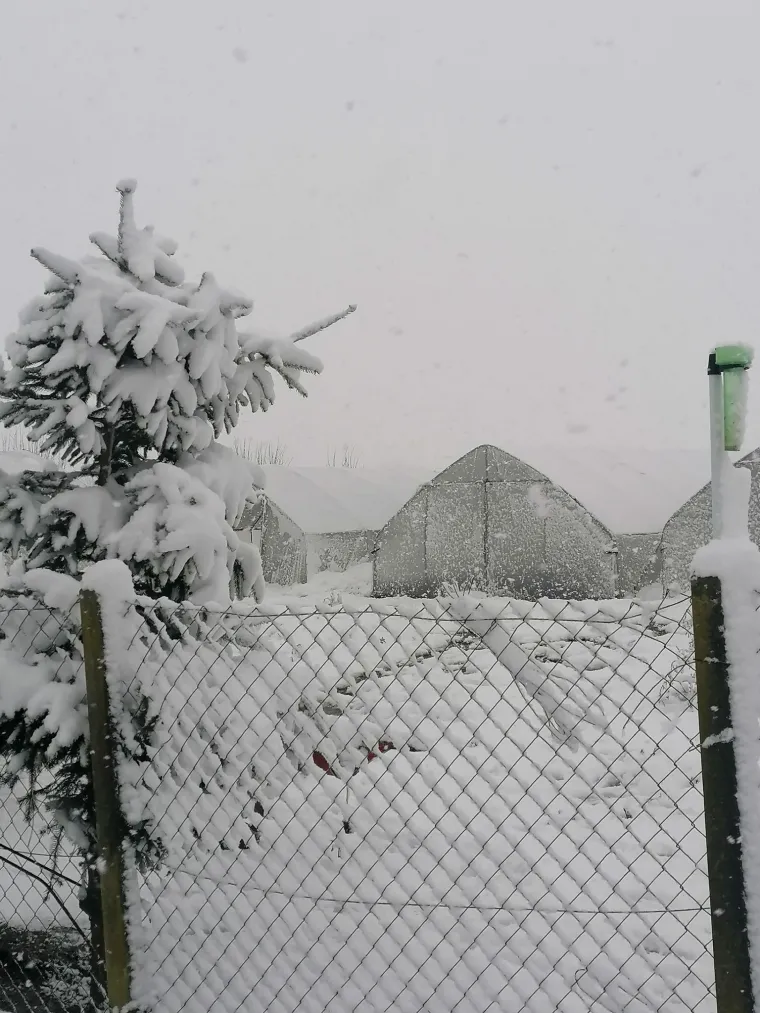Ovakva je snježna idila kod vas: Pogledajte &scaron;to ste nam poslali i odakle ste se sve javili