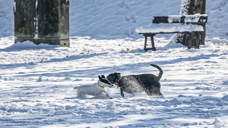 Ovaj Hrvatski grad kao da se jutros probudio u bajci: Grude su u ruci, osmjesi na licima!