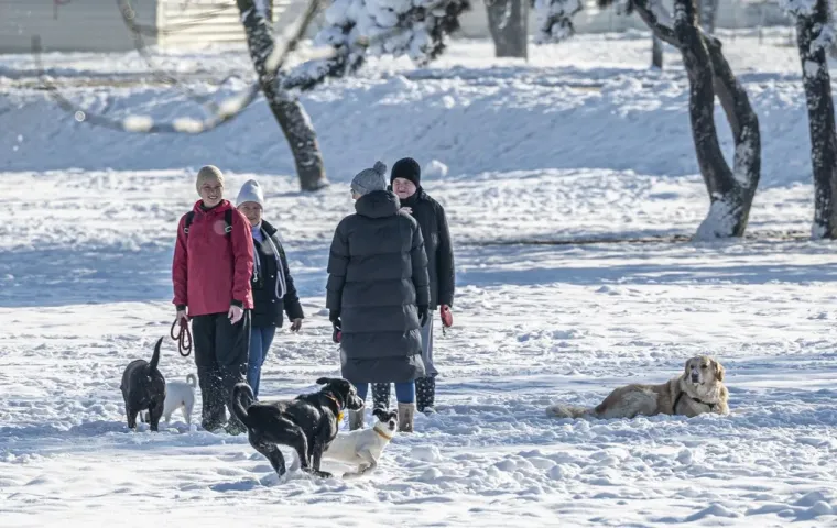 Ovaj Hrvatski grad kao da se jutros probudio u bajci: Grude su u ruci, osmjesi na licima!