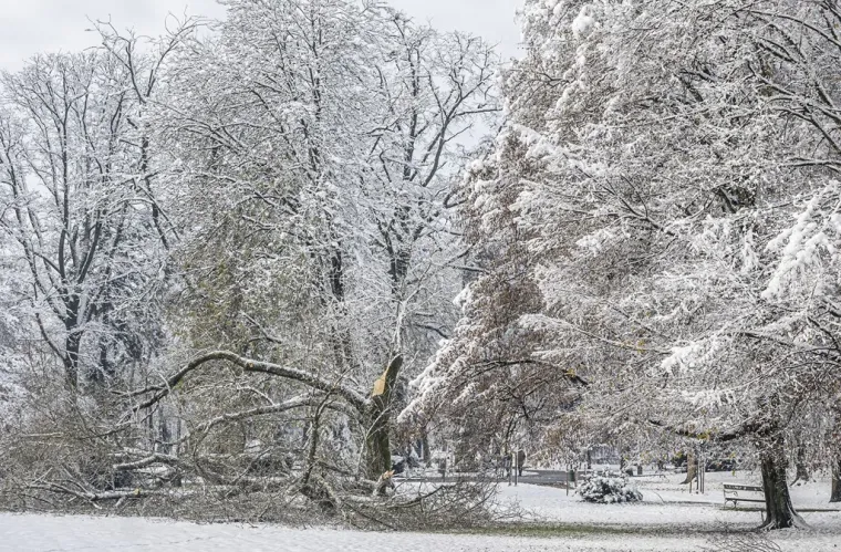 Ovaj Hrvatski grad kao da se jutros probudio u bajci: Grude su u ruci, osmjesi na licima!