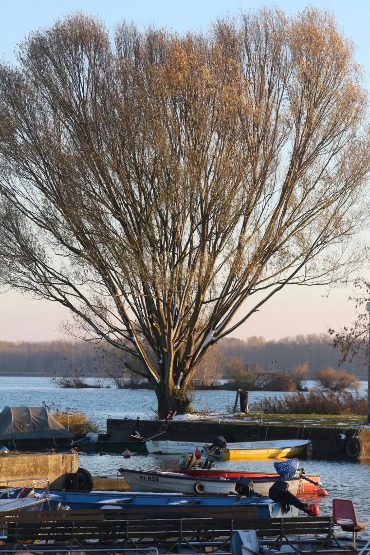 Hladnoća ih nije zaustavila: Par u Prelogu pokazao &scaron;to znači prava zimska romantika