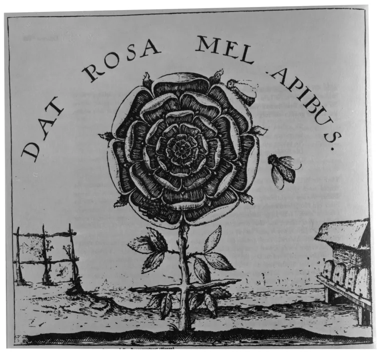 Obavijena velom misterije: Ovo su tajna dru&scaron;tva za koja možda nikada niste čuli