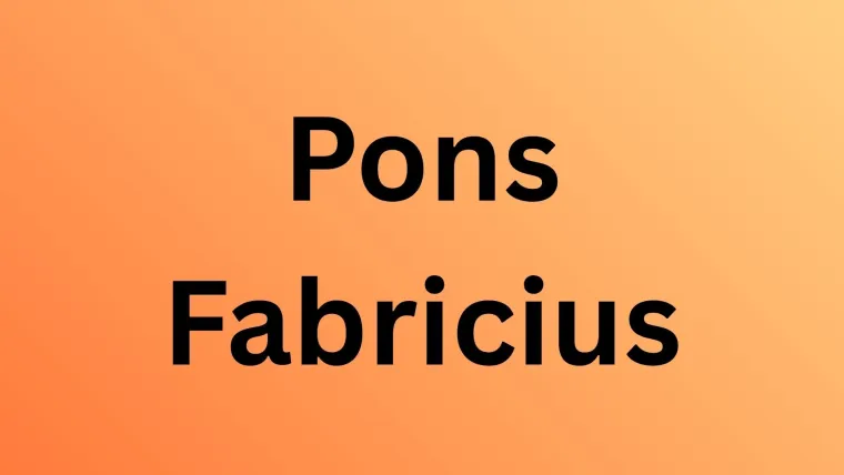 Mostovi koji su obilježili svijet: Putoholičari će lako prepoznati sve, mogu li i ostali?