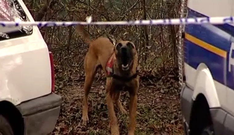 Najveća potraga u povijesti Hrvatske! Paravinja uskoro na slobodi? Tijelo Antonije Bilić pronašli su slučajno...