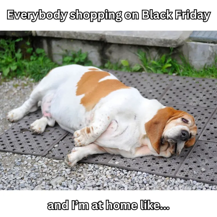 Internetom kruže urnebesni memovi o Crnom petkom: Neki će vas baš dobro nasmijati