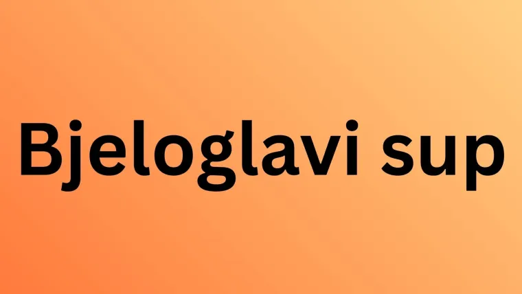 Dokažite se kao poznavatelj ptica koje nastanjuju hrvatsku prirodu: Koliko ste ih prepoznali?