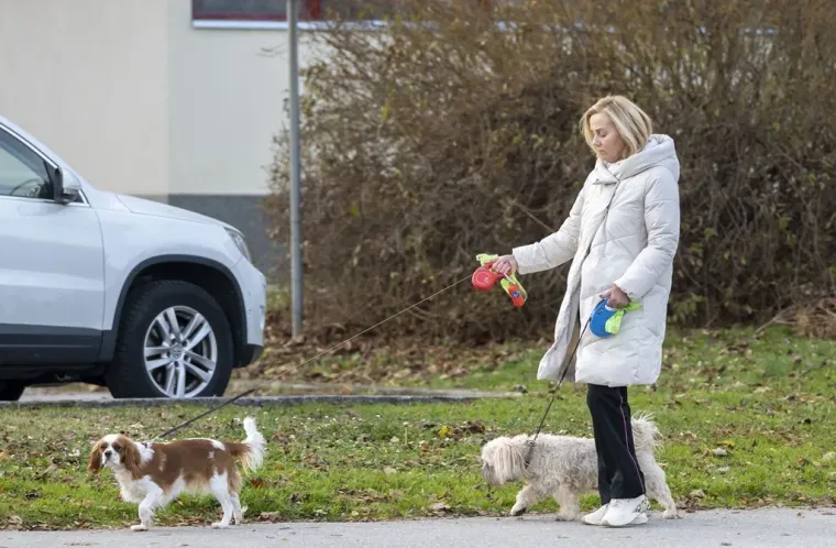 Brineta osmjehom razoružala prolaznike: Nije joj bilo konkurencije