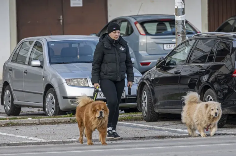 Brineta osmjehom razoružala prolaznike: Nije joj bilo konkurencije