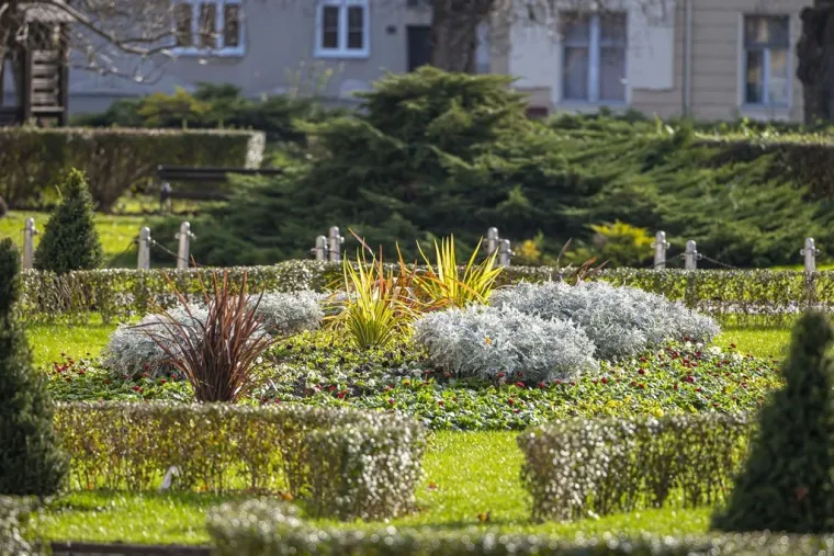 Brineta osmjehom razoružala prolaznike: Nije joj bilo konkurencije