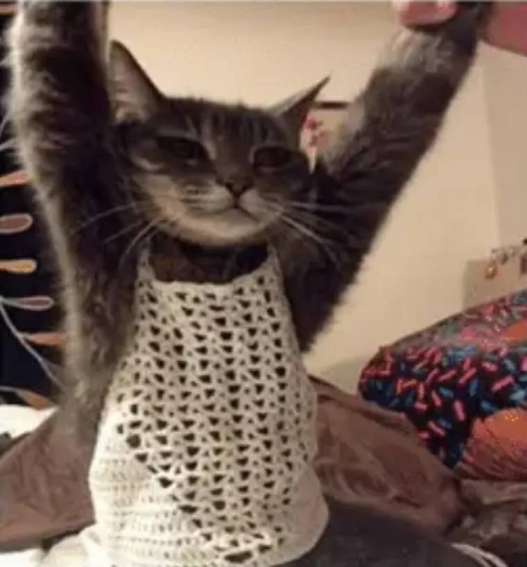 Jeste li se i vi razočarali u kupovinu preko interneta? Pazite što je tek njima stiglo pred vrata