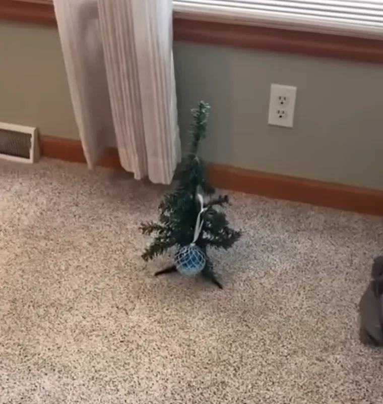 Jeste li se i vi razočarali u kupovinu preko interneta? Pazite &scaron;to je tek njima stiglo pred vrata